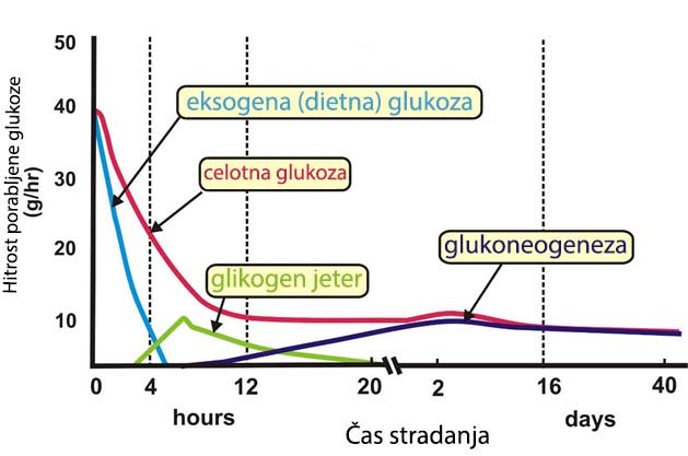 graf-stradanja-nivo-glukoze